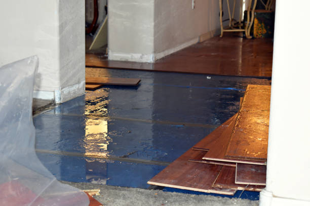 Professional Basement Flood Cleanup technician working in Pomona, KS
